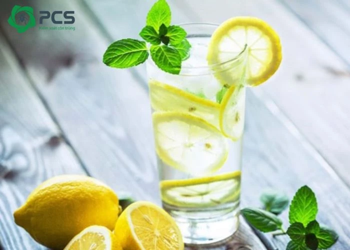 cách diệt kiến đen trong nhà